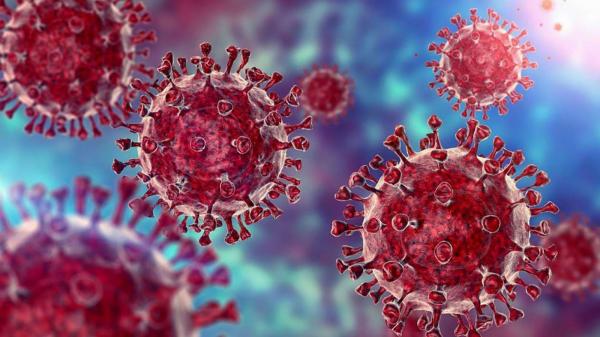 "القنطور".. متحور جديد لفيروس كورونا يثير قلقا كبيرا بسبب سرعة انتشاره المخيفة